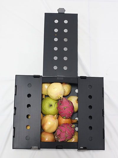 Fruits/Vegetables Packaging Box