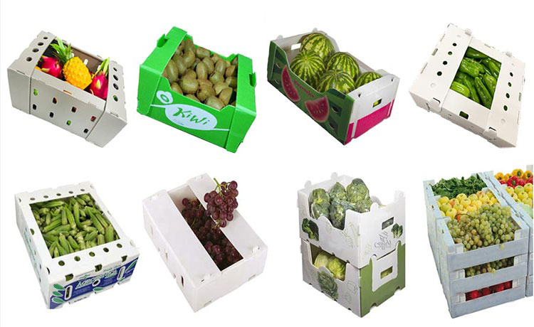 vegetable-box-packaging-7.jpg