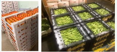 Plastic packaging for agriculture industry