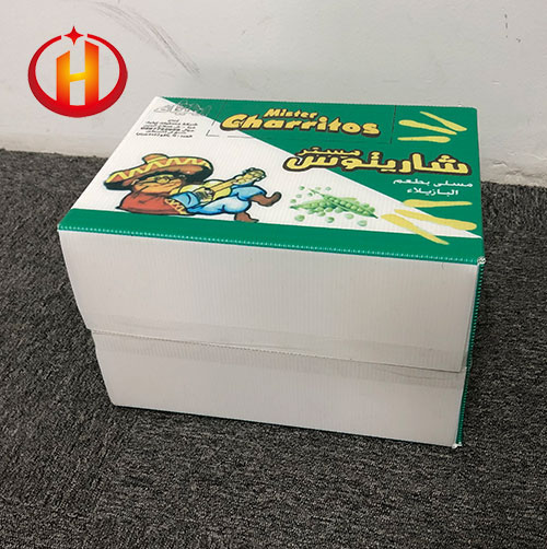 pp corrugated sheet box.jpg