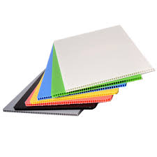 feuilles korex.jpg feuilles korex.jpg