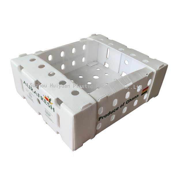 cajas de plástico corrugado para productos agrícolas.jpg