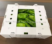 Coroplast Vegetable/Fruits Corrugated pp Packaging Box