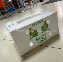 Silk Printing Vegetables Sweet Corn Packaging Coroplast Corrugated Plastic Box