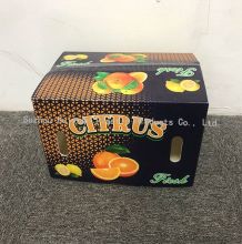 Custom PP Corrugated Fruit Box Packaging Orange, Custom Size