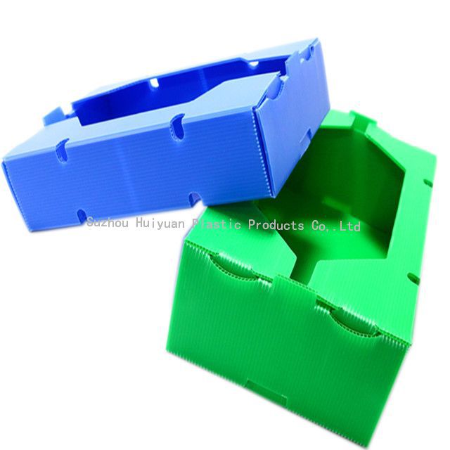 Fruit and Vegetable Corrugated Plastic Boxes can Recycle Folding with Customized Colour