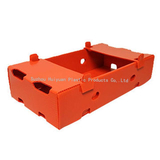 Fruit and Vegetable Corrugated Plastic Boxes can Recycle Folding with Customized Colour