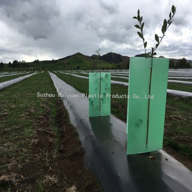 UV Stable High-Impact Coroplast Corrugated Plastic Green Tree Guards 