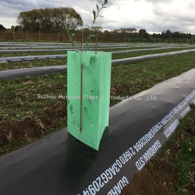 UV Stable High-Impact Coroplast Corrugated Plastic Green Tree Guards 