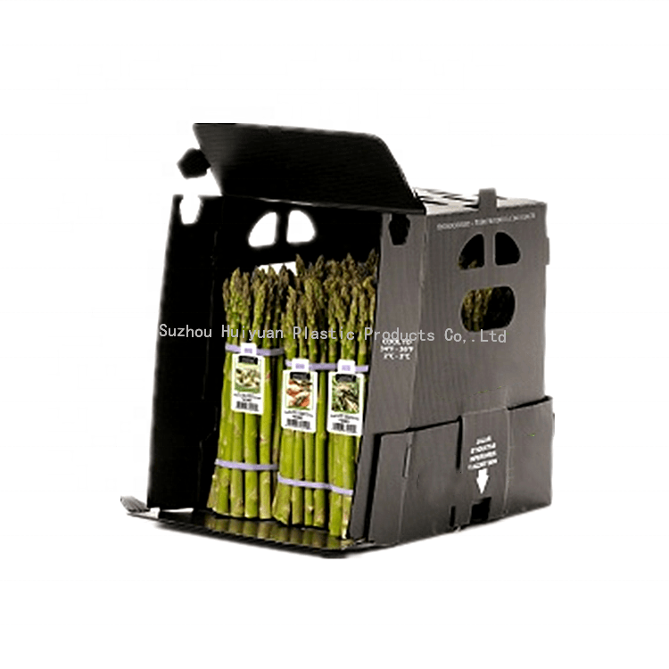 Coroplast Box For Packaging Asparagus Vegetable & Fruit Packaging