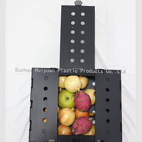 Coroplast Vegetable/Fruits Okra Packaging Box