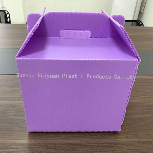 Custom Foldable Corrugated Plastic Packaging Box-Special design