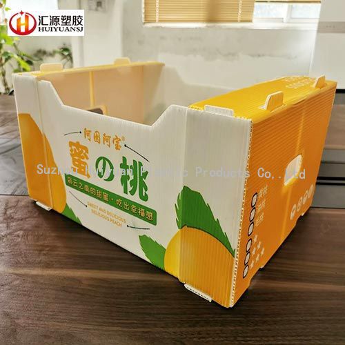 Corflute Strong And Durable Vegetable/Fruits Packaging Box