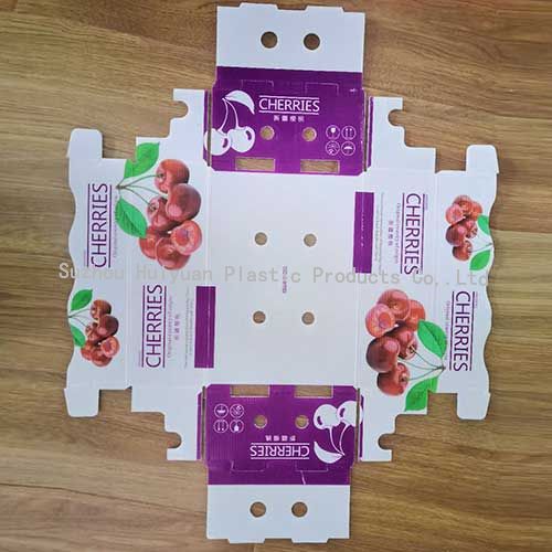 Watremark Printing Fruits Packaging Corrugated Plastic Box