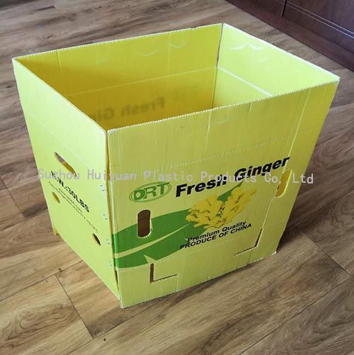 Watremark Printing Ginger Packaging Corrugated Plastic Box