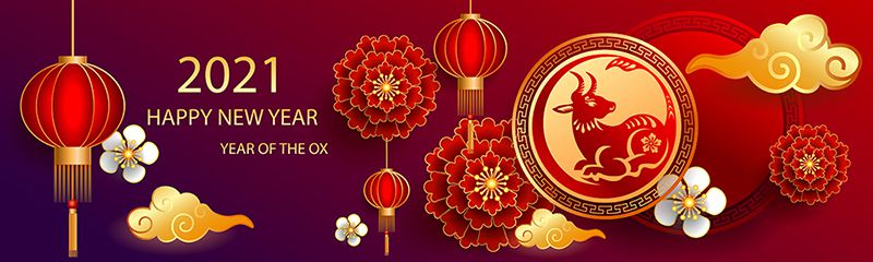 Huiyuan Wishes All the Customers Happy Spring Festival