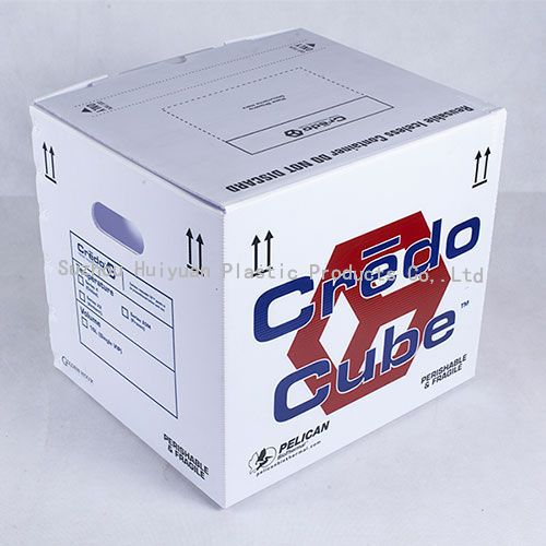 Custom Silk Screen Printing Foldable Correx Coroplast Box