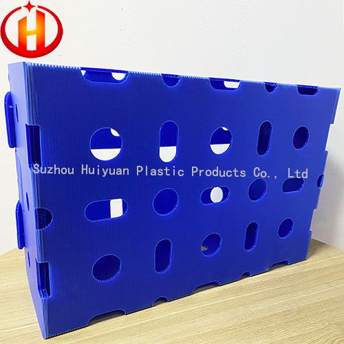 coroplast box for packaging fruits and vegetables