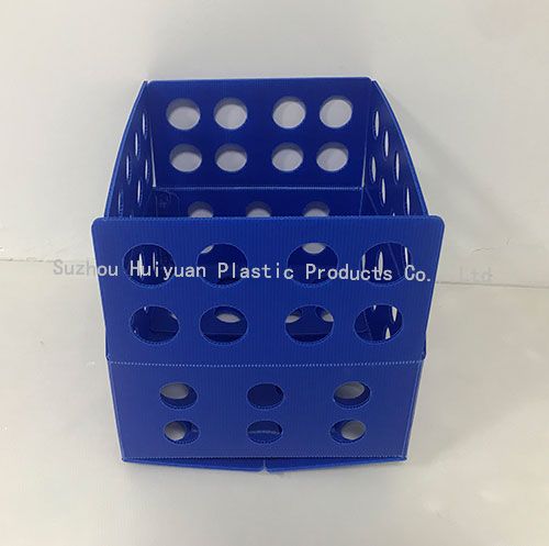 Custom PP Material Danpla Box For Packaging Vegetables