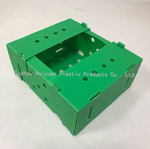 Bulk PP Corrugated Boxes Fruit And Vegetable Packaging Boxes