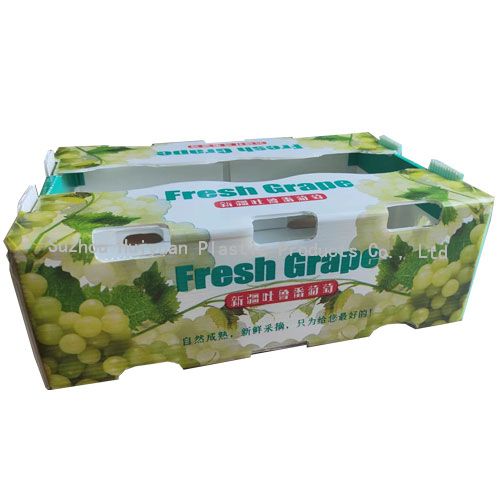 PP Corrugated Vegetable Box Packaging Coroplast Box Factory