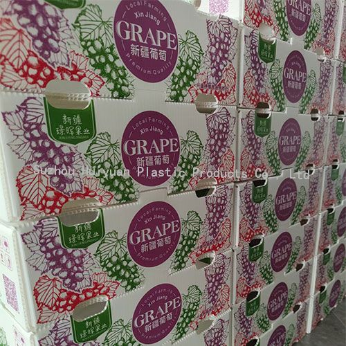 PP Corrugated Vegetable Box Packaging Coroplast Box Factory