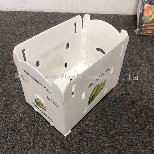 Bulk Custom Plastic Corrugated Box For Packaging Sweet Corns