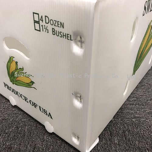 Bulk Custom Plastic Corrugated Box For Packaging Sweet Corns