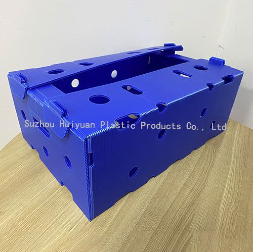 Custom PP Sheet Box Corrugated Plastic Crates For Lettuce