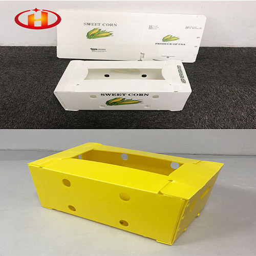 Corflute Fruit Packaging Boxes: A Sustainable and Versatile Solution