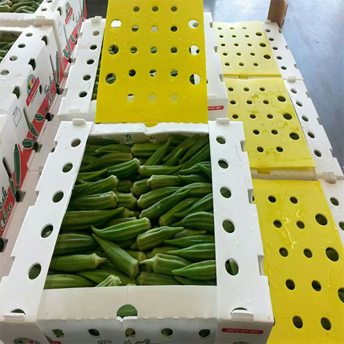 PP Corrugated Fruit Packing Boxes: A Sustainable and Efficient Solution