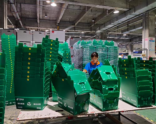 PP Sheet Box: Key Advantages and Applications